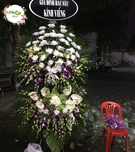 Mẫu 19