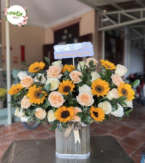 MẪU 23