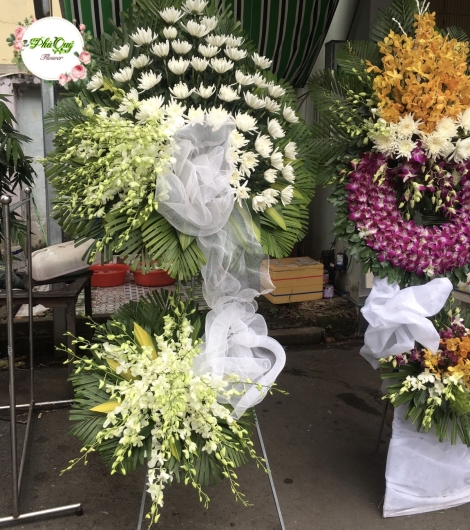 Mẫu 11