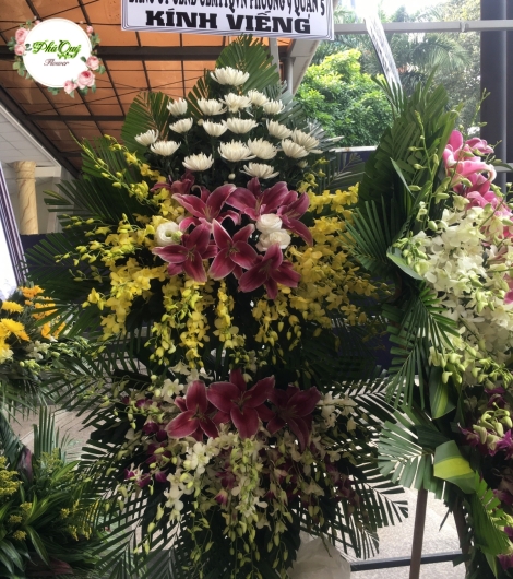 Mẫu 15