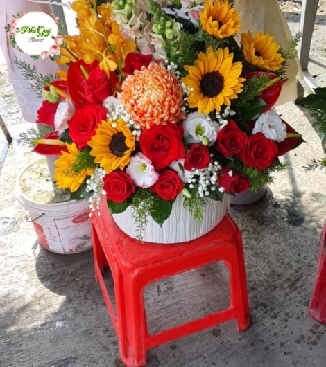 MẪU 14