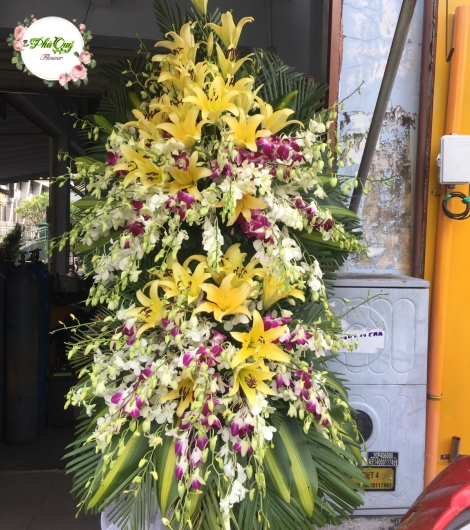 Mẫu 13
