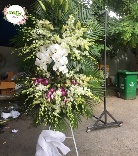 Mẫu 1