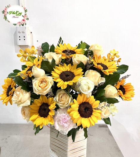 Mẫu 12q