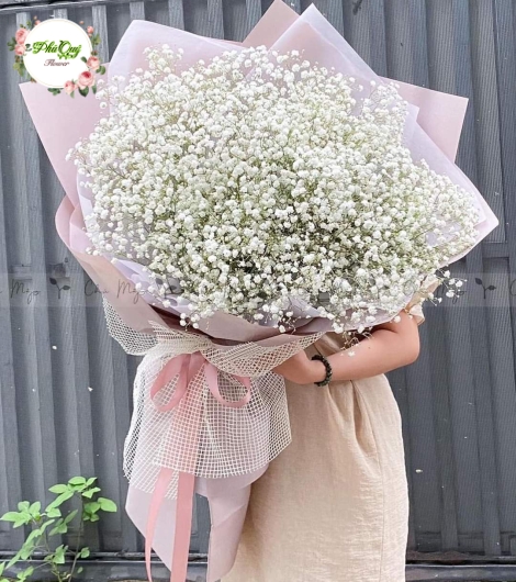 Mẫu 19