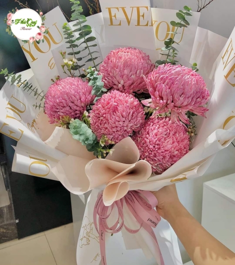 MẪU 11