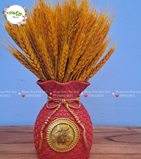 Mẫu 2024 - 003
