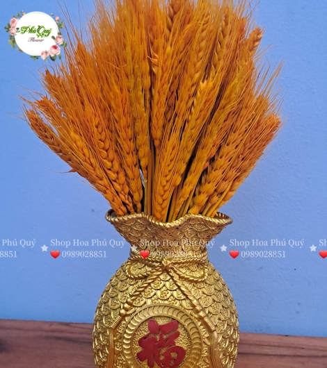 Mẫu 2024 - 004