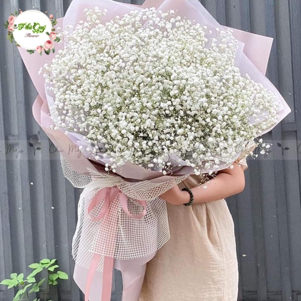 Mẫu 19