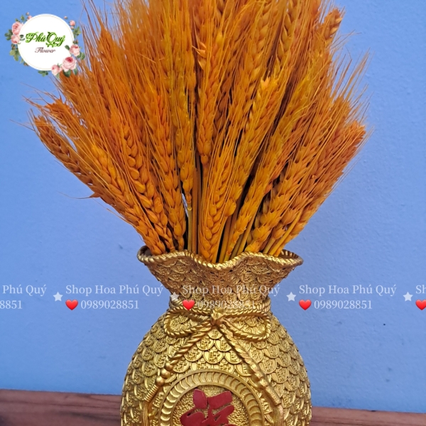 Mẫu 2024 - 004