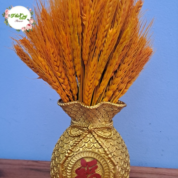 Mẫu 2024 - 011
